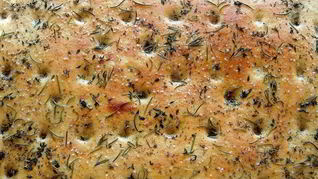 Фокачча с зеленью