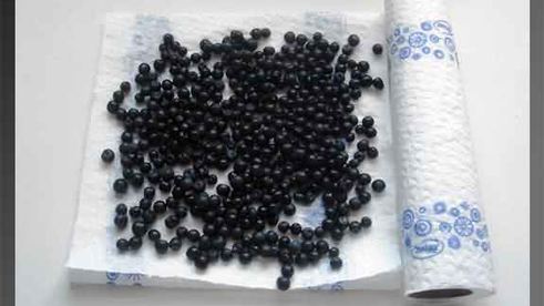 оладьи с черникой