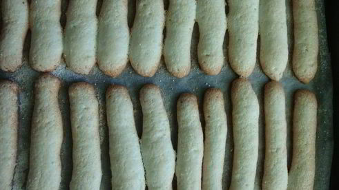 печенье савоярди