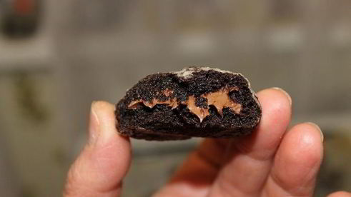 шоколадное печенье с кремовой начинкой