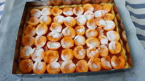 абрикосовый пирог на песочном тесте