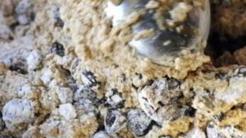 английский рождественский пирог с коньяком