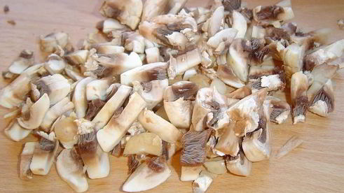 блинчатые пирожки с начинкой из курятины и грибов