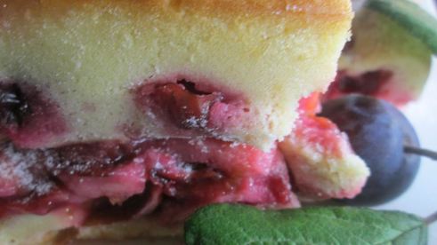 сливовая шарлотка на сметане