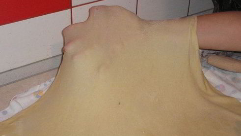 венский яблочный штрудель