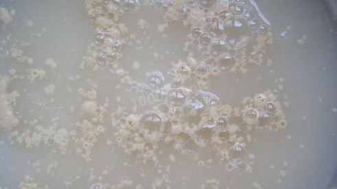 быстрое тесто для пирога