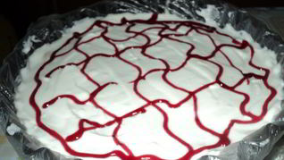 Торт из фруктов без выпечки