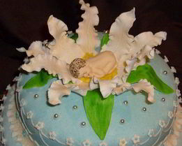 Торт нежный медовик с масляно-заварным кремом