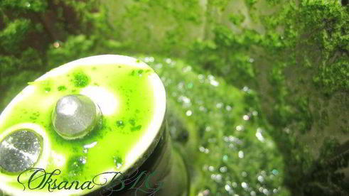 торт шоколадно-мятный поцелуй