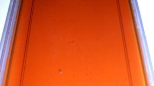 мини-торт из мокко-профитролей со сливочным кремом, кофейным муссом и белым шоколадом