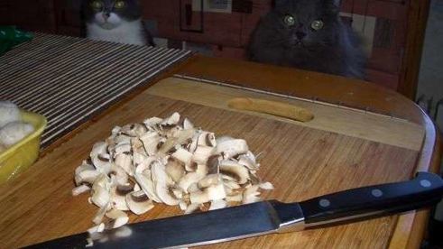 запеканка с тунцом