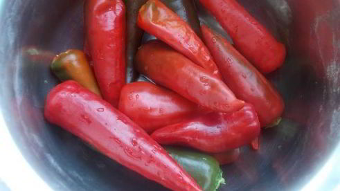 домашняя аджика