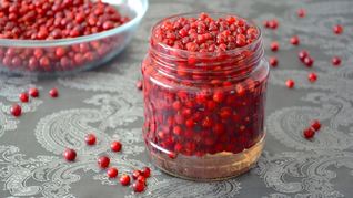 Брусника на зиму без варки