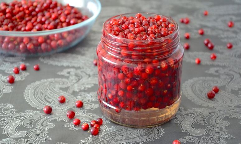 Рецепт брусники на зиму без варки