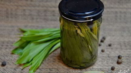 Черемша на зиму