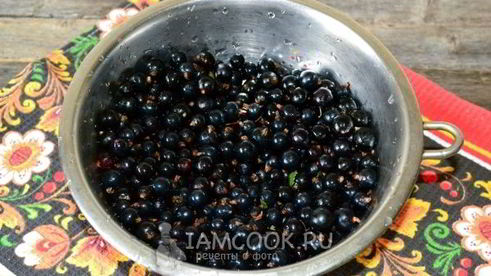 черная смородина без варки на зиму
