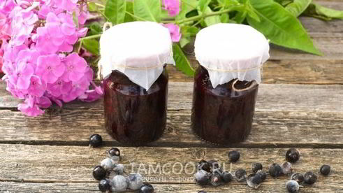 черная смородина без варки на зиму