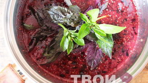 джем из черной смородины