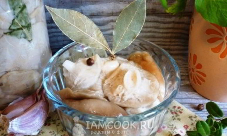 Рецепт груздей на зиму в банках