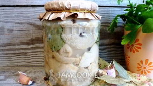 грузди на зиму в банках