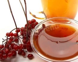 Калина с медом на зиму