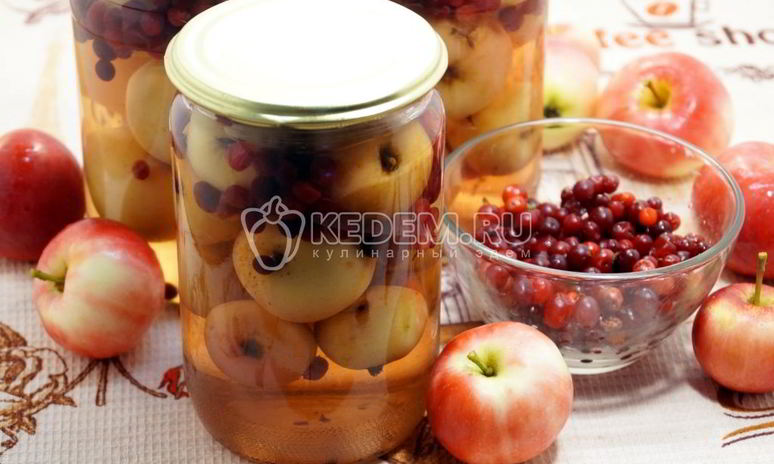 Рецепт компота из брусники с яблоками
