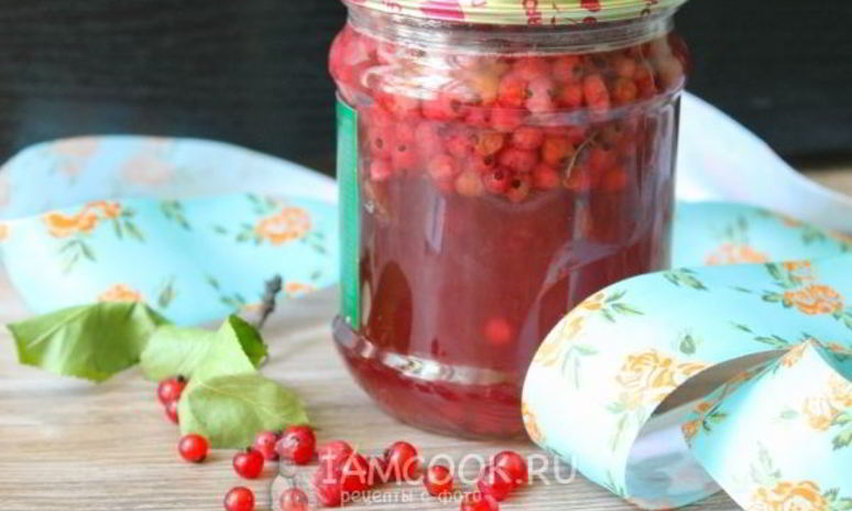 Рецепт компота из красной смородины на зиму