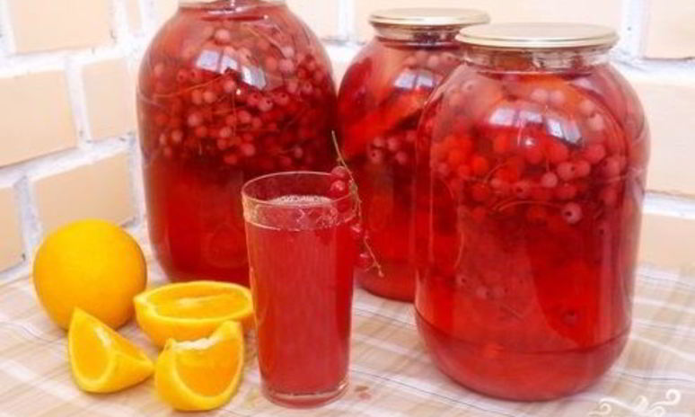 Рецепт компота из красной смородины с апельсином