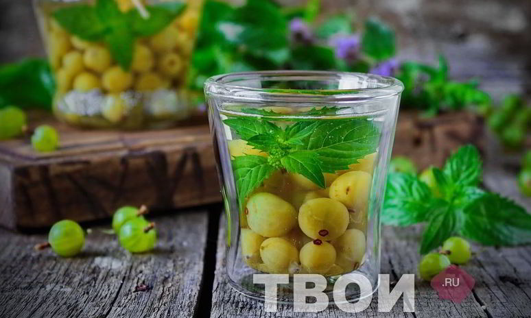 Рецепт компота из крыжовника и мяты