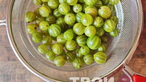 компот из крыжовника и мяты