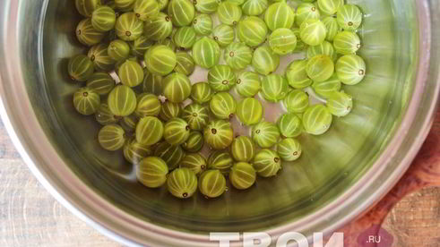 компот из крыжовника и мяты