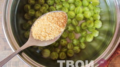 компот из крыжовника и мяты