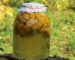 Компот из лимонника