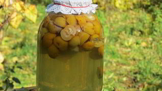 Компот из лимонника