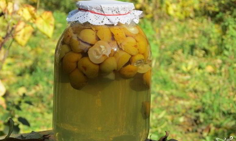 Рецепт компота из лимонника