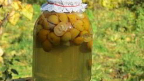 компот из лимонника