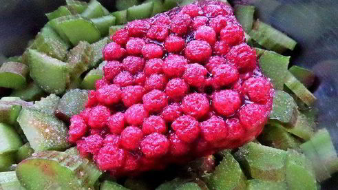 компот из ревеня и лесной малины