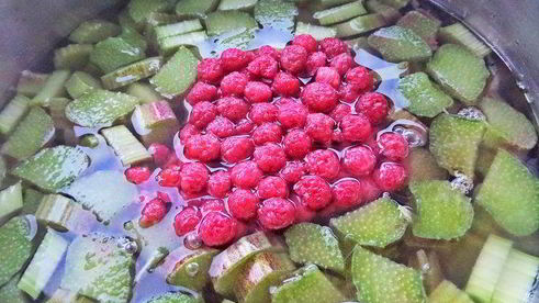 компот из ревеня и лесной малины