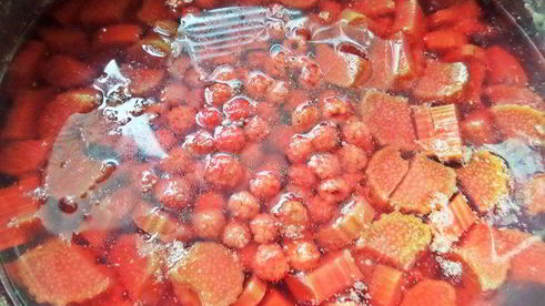 компот из ревеня и лесной малины