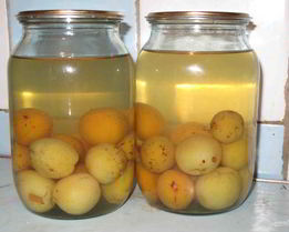 Компот из слив с косточками на зиму