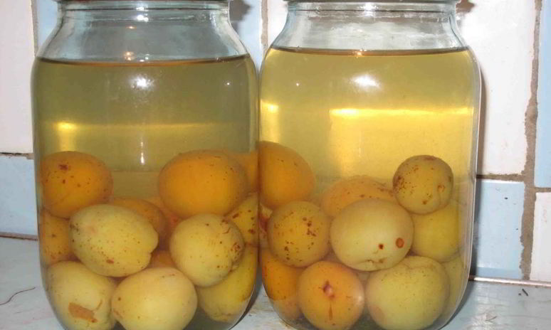 Рецепт компота из слив с косточками на зиму