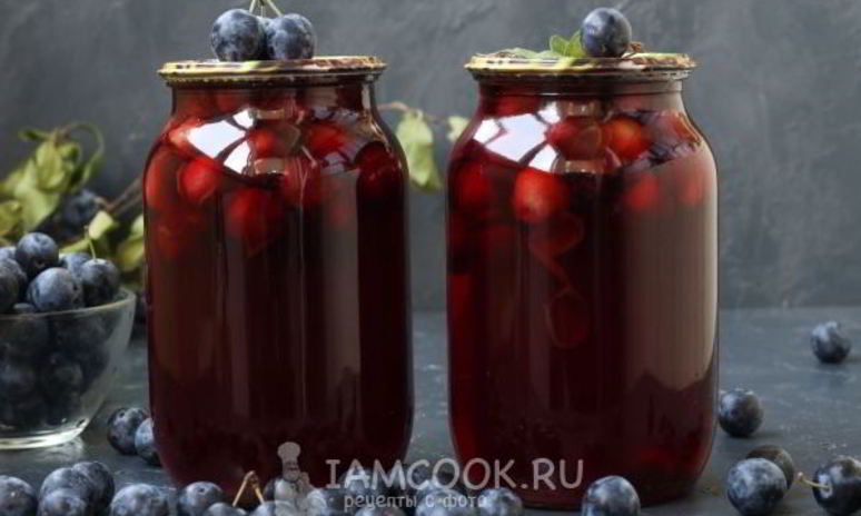 Рецепт компота из терна на зиму без стерилизации