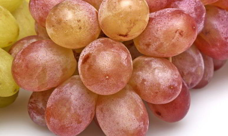 Рецепт компота из винограда