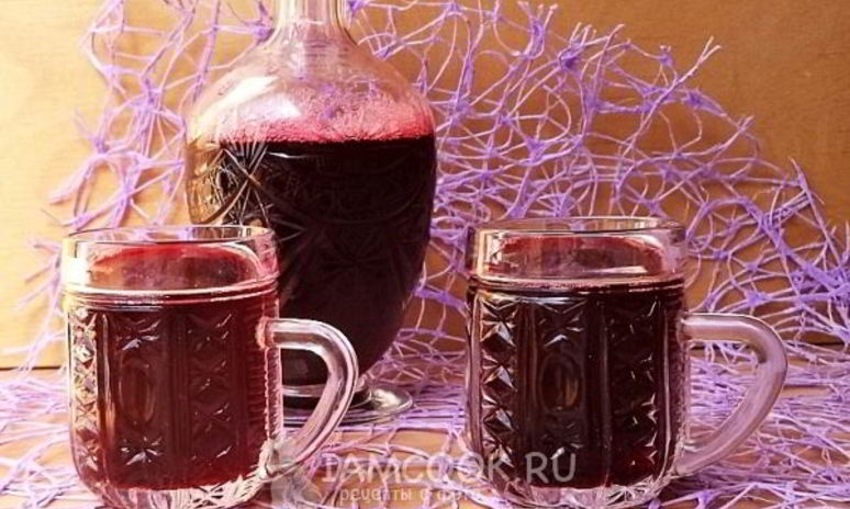 Рецепт компота из жимолости