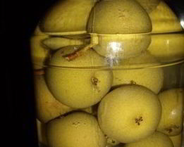 Компот Проводница