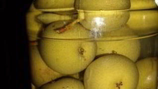 Компот Проводница