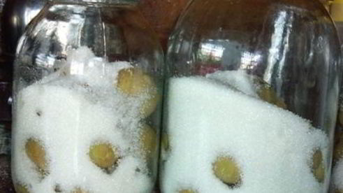 компот проводница