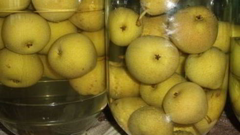 компот проводница