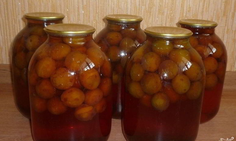 Рецепт закатки компота из слив
