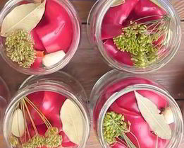 Квашеный болгарский перец